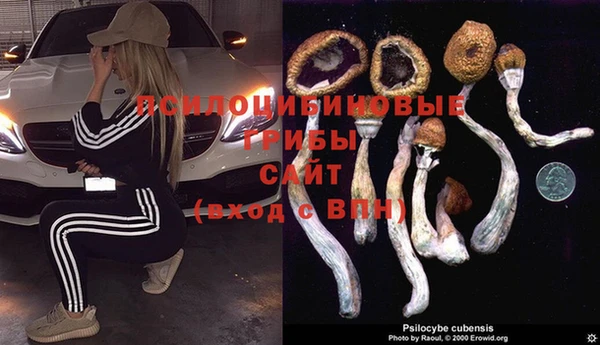 марки lsd Мегион