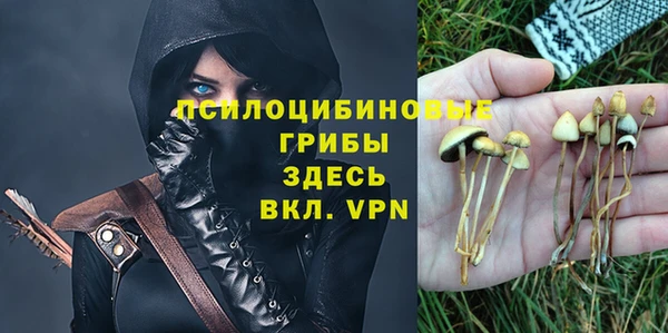 бутират Алексеевка