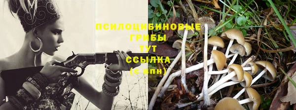 дурь Алексин